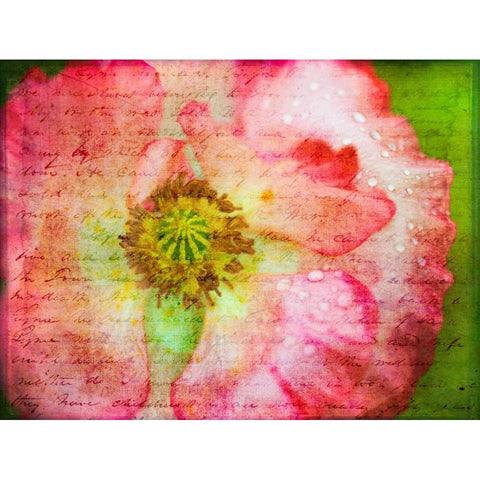 Colorful Wisteria in spring Gold Ornate Wood Framed Art Print with Double Matting by Frank, Assaf