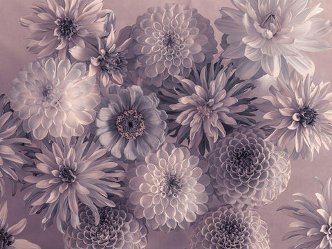 Full frame of mixed flowers White Modern Wood Framed Art Print with Double Matting by Frank, Assaf