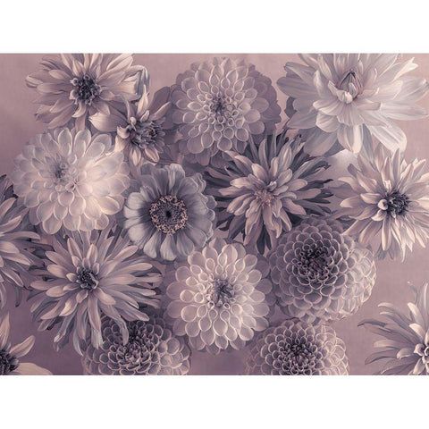 Full frame of mixed flowers Gold Ornate Wood Framed Art Print with Double Matting by Frank, Assaf