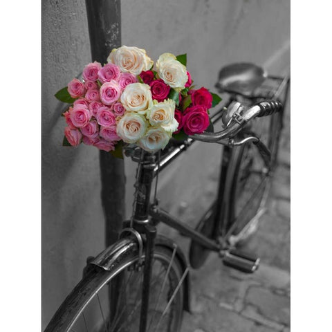 Bunch of Roses on bicycle, Paris, France White Modern Wood Framed Art Print by Frank, Assaf