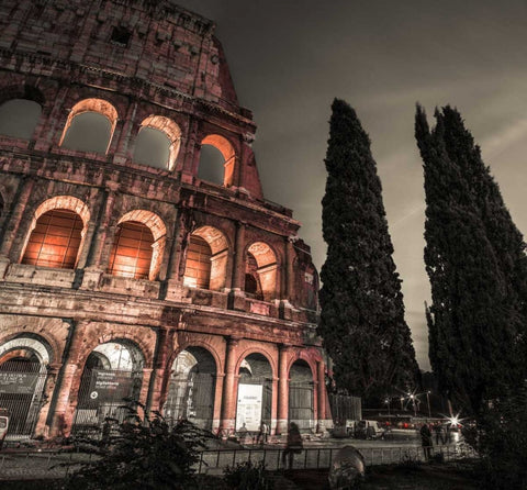 Famous Colosseum in Rome, Italy Black Ornate Wood Framed Art Print with Double Matting by Frank, Assaf