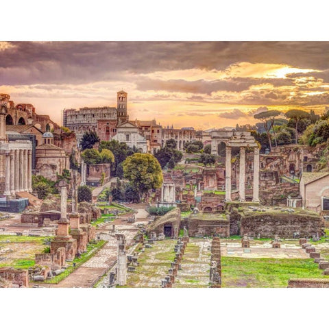 Ruins of the Roman Forum, Rome, Italy Gold Ornate Wood Framed Art Print with Double Matting by Frank, Assaf