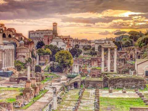 Ruins of the Roman Forum, Rome, Italy White Modern Wood Framed Art Print with Double Matting by Frank, Assaf