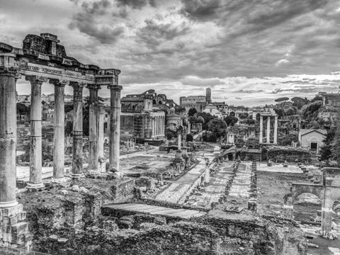 Ruins of the Roman Forum, Rome, Italy White Modern Wood Framed Art Print with Double Matting by Frank, Assaf