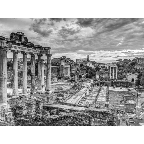 Ruins of the Roman Forum, Rome, Italy Black Modern Wood Framed Art Print by Frank, Assaf