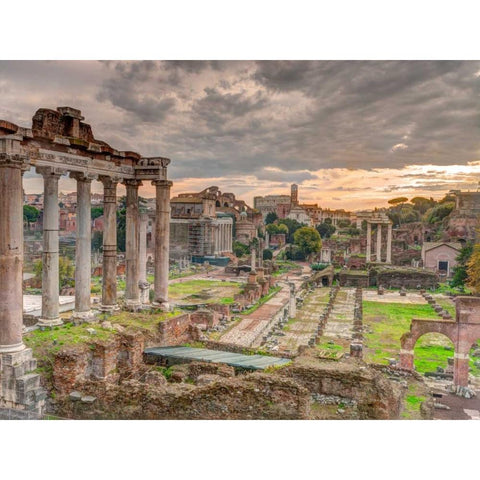 Ruins of the Roman Forum, Rome, Italy Gold Ornate Wood Framed Art Print with Double Matting by Frank, Assaf