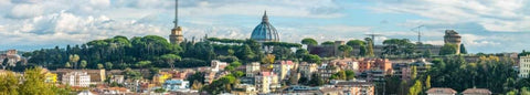 Vatican city with St. Peters Basilica, Rome, Italy White Modern Wood Framed Art Print with Double Matting by Frank, Assaf