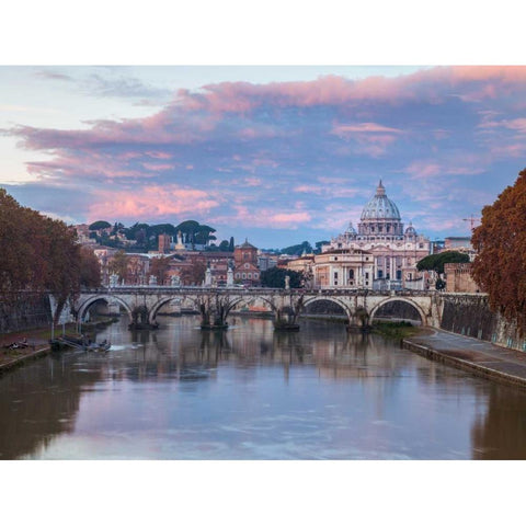 View of Basilica di San Pietro in Vatican, Rome, Italy Gold Ornate Wood Framed Art Print with Double Matting by Frank, Assaf