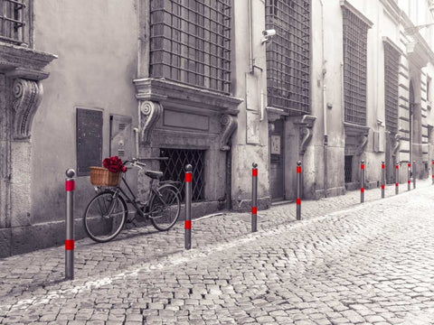 Bunch of roses on bicycle on old city street of Rome Black Ornate Wood Framed Art Print with Double Matting by Frank, Assaf