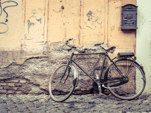 Bicycle outdise old house in Rome Black Ornate Wood Framed Art Print with Double Matting by Frank, Assaf