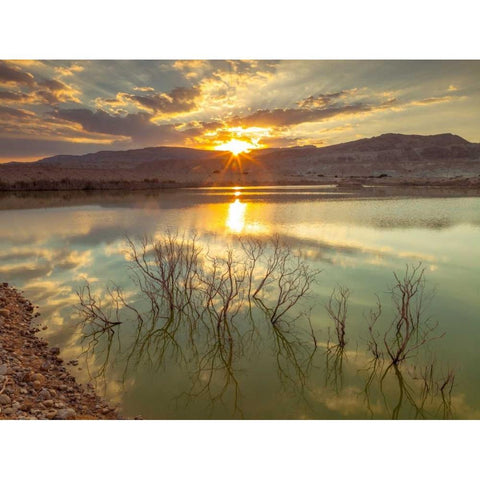 Dead sea, Israel Gold Ornate Wood Framed Art Print with Double Matting by Frank, Assaf