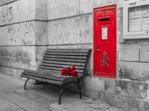 Bunch of roses on a bench, Birgu, Malta White Modern Wood Framed Art Print with Double Matting by Frank, Assaf