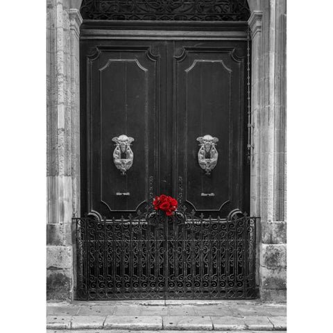 Bunch of roses on door of a house in Mdina, Malta Gold Ornate Wood Framed Art Print with Double Matting by Frank, Assaf