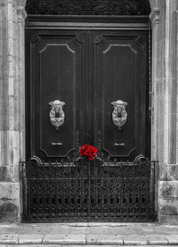 Bunch of roses on door of a house in Mdina, Malta Black Ornate Wood Framed Art Print with Double Matting by Frank, Assaf