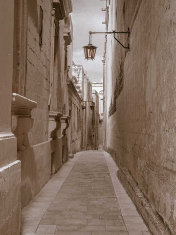 Narrow street in town of Mdina, Malta Black Ornate Wood Framed Art Print with Double Matting by Frank, Assaf