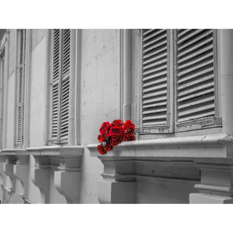 Bunch of roses on window of a house in Mdina, Malta Black Modern Wood Framed Art Print by Frank, Assaf