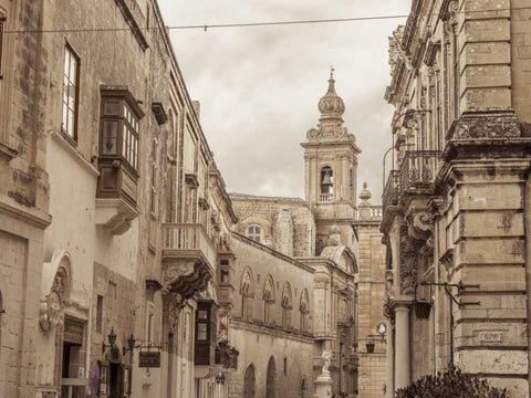 Old buildings in Mdina, Malta White Modern Wood Framed Art Print with Double Matting by Frank, Assaf
