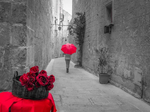 Tourist with umbrella walking through narrow lanes of Mdina with red roses in front, Malta Black Ornate Wood Framed Art Print with Double Matting by Frank, Assaf