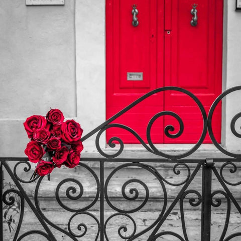Bunch of roses on iron gate of an old house in Mdina, Malta Black Modern Wood Framed Art Print by Frank, Assaf