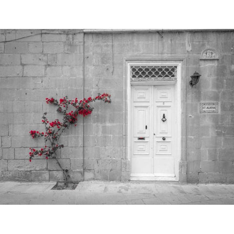 Old wooden door on house in Mdina, Malta Gold Ornate Wood Framed Art Print with Double Matting by Frank, Assaf