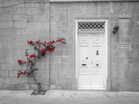 Old wooden door on house in Mdina, Malta White Modern Wood Framed Art Print with Double Matting by Frank, Assaf