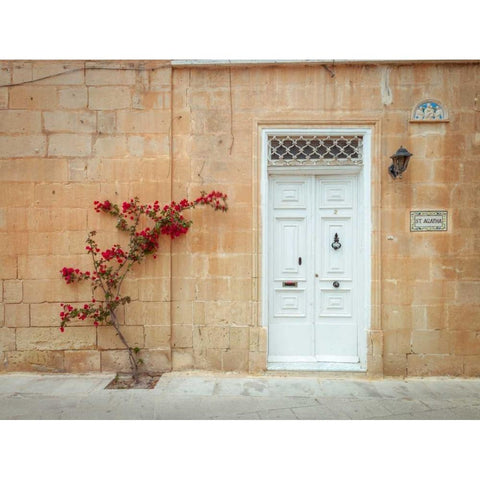 Old wooden door on house in Mdina, Malta Black Modern Wood Framed Art Print with Double Matting by Frank, Assaf