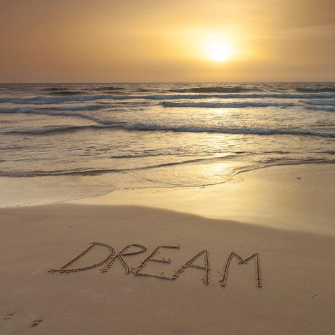 Sand writing - Word Dream written on beach Black Modern Wood Framed Art Print with Double Matting by Frank, Assaf