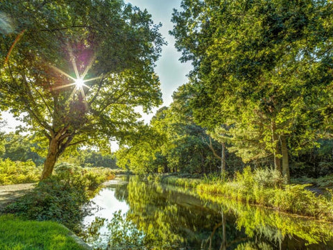 Basingstoke canal in countryside, UK Black Ornate Wood Framed Art Print with Double Matting by Frank, Assaf