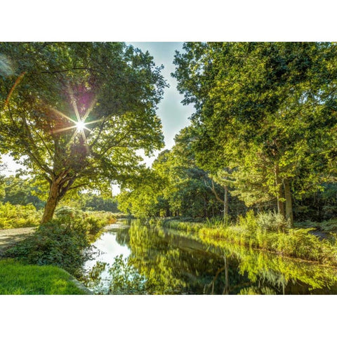Basingstoke canal in countryside, UK Black Modern Wood Framed Art Print with Double Matting by Frank, Assaf