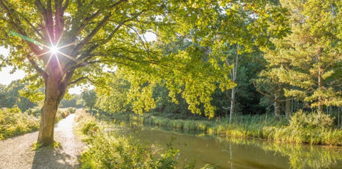 Basingstoke canal in countryside, UK White Modern Wood Framed Art Print with Double Matting by Frank, Assaf