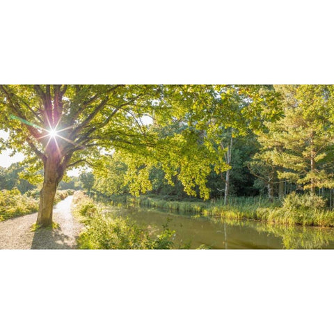 Basingstoke canal in countryside, UK Black Modern Wood Framed Art Print by Frank, Assaf