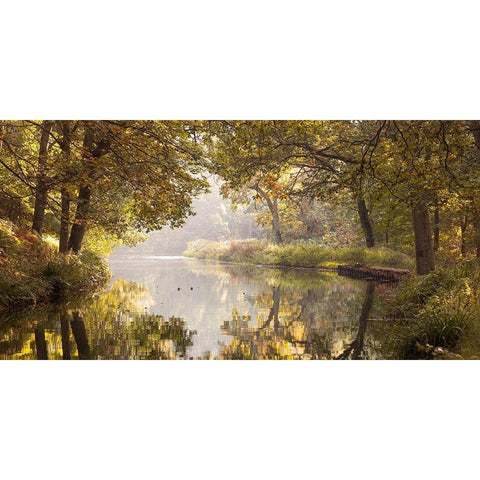 Basingstoke canal Gold Ornate Wood Framed Art Print with Double Matting by Frank, Assaf