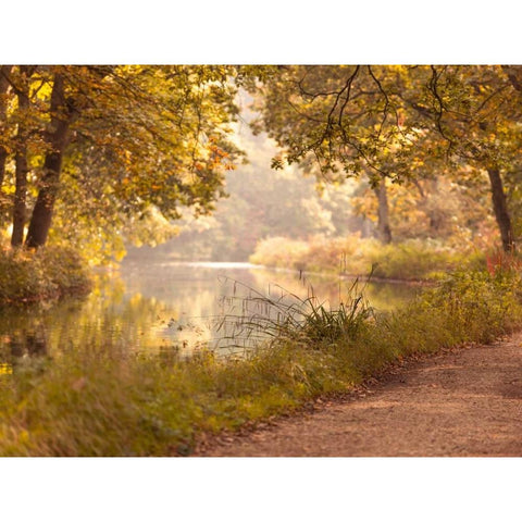 Basingstoke canal in countryside, UK, FTBR-1829 Black Modern Wood Framed Art Print by Frank, Assaf