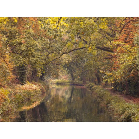 Basingstoke canal in countryside, UK, FTBR-1830 White Modern Wood Framed Art Print by Frank, Assaf