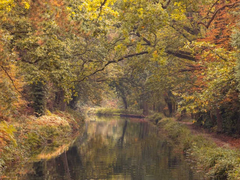 Basingstoke canal in countryside, UK, FTBR-1830 White Modern Wood Framed Art Print with Double Matting by Frank, Assaf