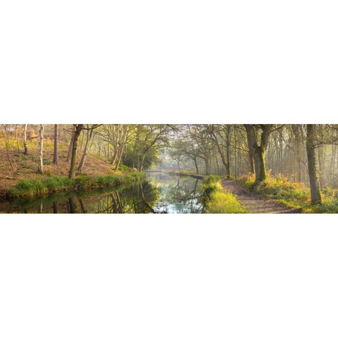 Varieties of spices in a wooden box Gold Ornate Wood Framed Art Print with Double Matting by Frank, Assaf