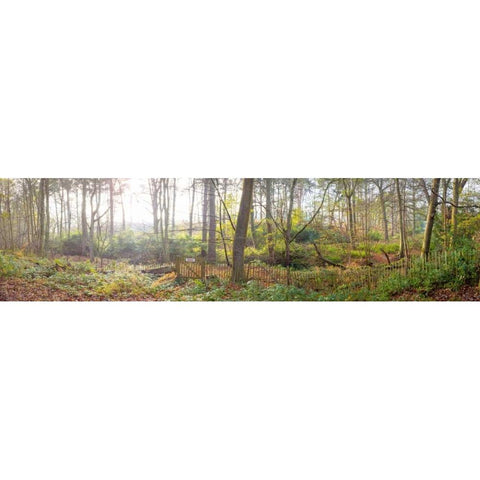 Canal through forest in countryside Black Modern Wood Framed Art Print with Double Matting by Frank, Assaf