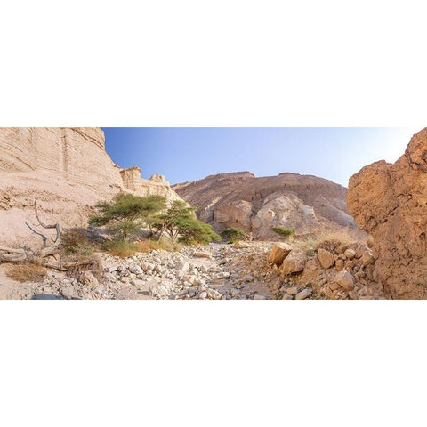 Negev Desert-Israel White Modern Wood Framed Art Print by Frank, Assaf