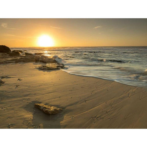 Golden sunset on beach Gold Ornate Wood Framed Art Print with Double Matting by Frank, Assaf