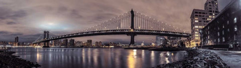 Manhattan bridge and New York city skyline Black Ornate Wood Framed Art Print with Double Matting by Frank, Assaf