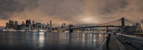 Lower Manhattan skyline in evening, New York Black Ornate Wood Framed Art Print with Double Matting by Frank, Assaf