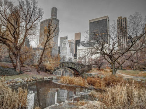 Central park and Manhattan skyline, New York Black Ornate Wood Framed Art Print with Double Matting by Frank, Assaf