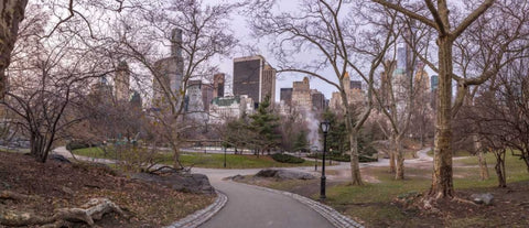 Pathway through Central park, New York White Modern Wood Framed Art Print with Double Matting by Frank, Assaf