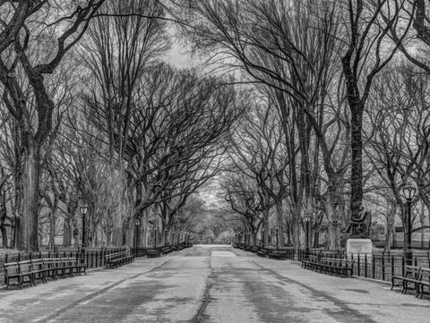 Pathway through Central park, New York Black Ornate Wood Framed Art Print with Double Matting by Frank, Assaf
