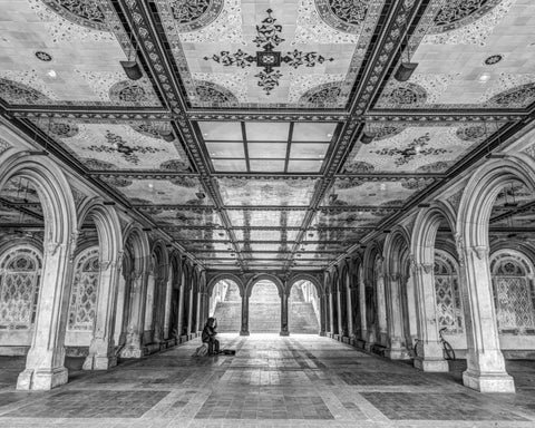 Bethesda Terrace in Central park, New York Black Ornate Wood Framed Art Print with Double Matting by Frank, Assaf