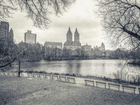 Central park with Manhattan skyline, New York Black Ornate Wood Framed Art Print with Double Matting by Frank, Assaf