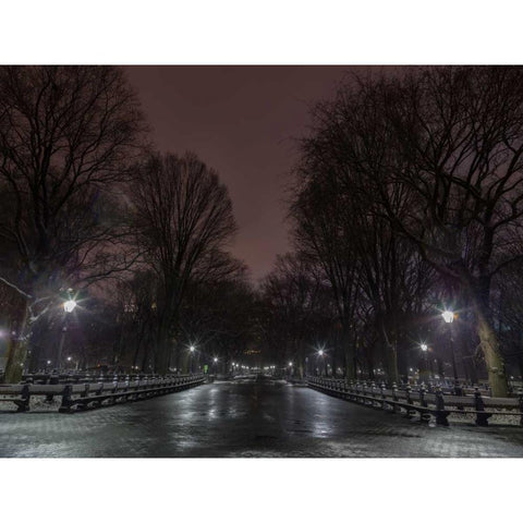 Central park at night, New York White Modern Wood Framed Art Print by Frank, Assaf