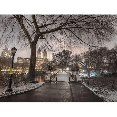 Evening view of Central park-New York Gold Ornate Wood Framed Art Print with Double Matting by Frank, Assaf