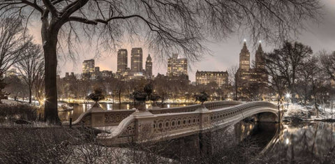 Central park with Manhattan skyline, New York Black Ornate Wood Framed Art Print with Double Matting by Frank, Assaf