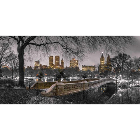 Central park with Manhattan skyline, New York Black Modern Wood Framed Art Print with Double Matting by Frank, Assaf